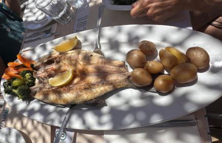 Moradia com escada e Jardim, Piscina Maio 2026 - Foto 58