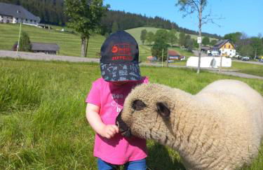 Ferienwohnung am Schneeberg - Foto 53