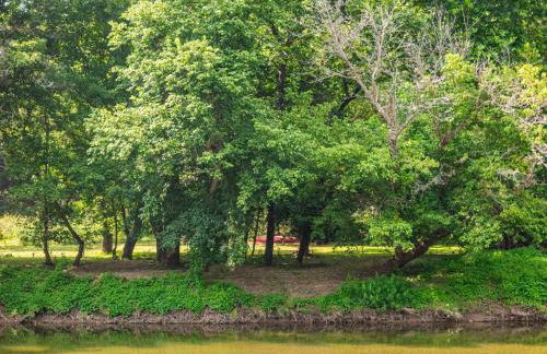 Screened Porch w Swing, Fire Pit, Grill & Deck - Photo 57