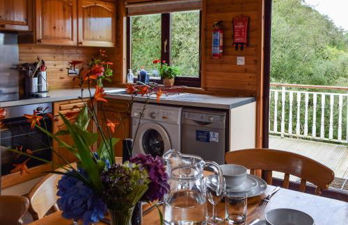 Catkin Lodge - Uk39646 - Foto 7