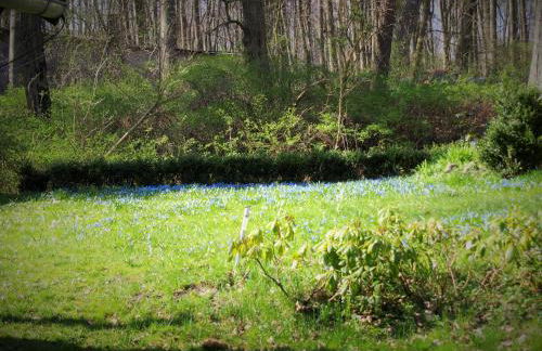 Altes Forsthaus Garzau - Foto 35