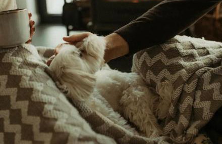 Swobodna 6 - Foto 63