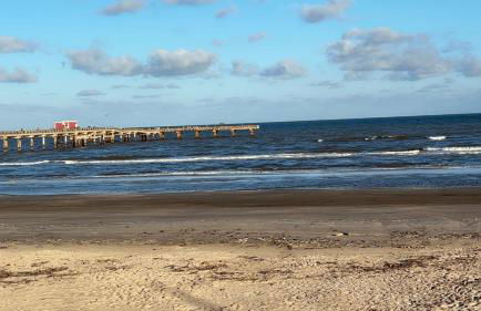 Sun-Kissed Stays - Photo 17