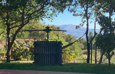 Quinta da Mal-disposta, cabin lodge Countryhouse - Foto 53