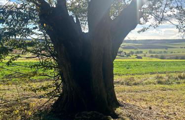 Ferienwohnung im Usseltal - Zirben Spa - Monheimer Alb - Altmühltal - Familie Geyer Daiting - Foto 73