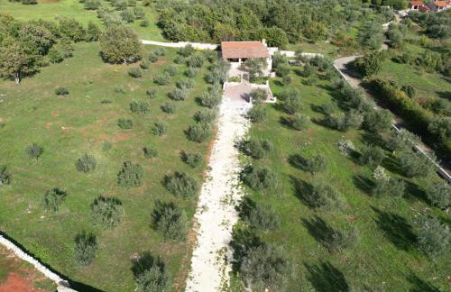 Stancija Marusi - Foto 4