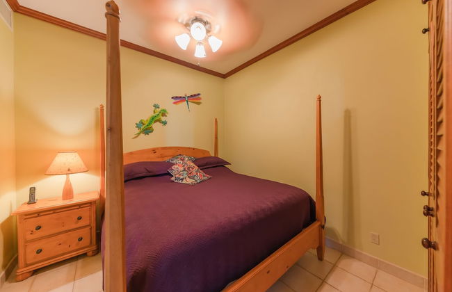 Tara Del Sol - Photo 4