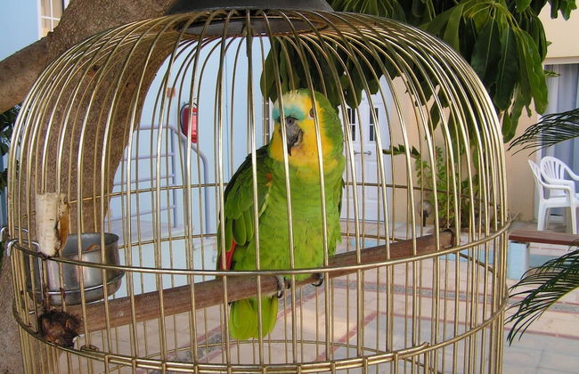 Futura Hotel - Foto 48