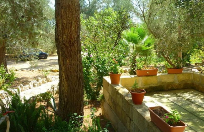 Tenuta la Siesta - Photo 48