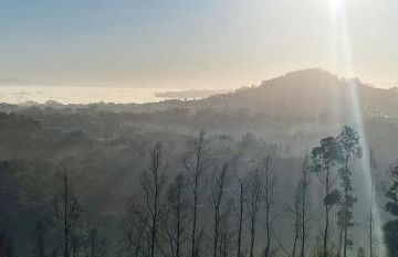 Quinta da Chumbaria - heaven on a hilltop, peace and stunning views! - Foto 2