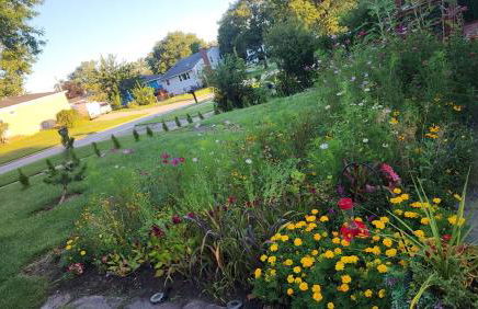 Two Kings in Chicago - Foto 39