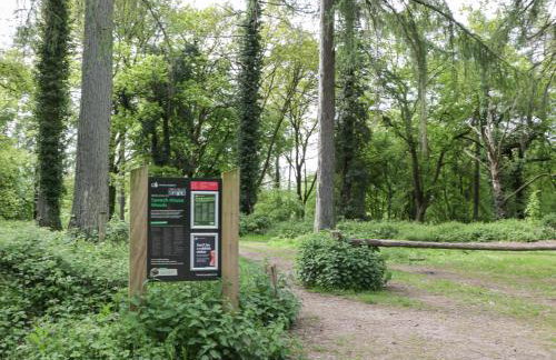 The Old School - Photo 26