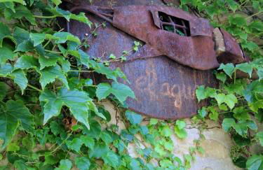 El Corral de Concilio - Foto 9