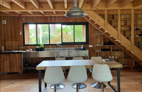 Charmant Chalet au bord du lac - Foto 38