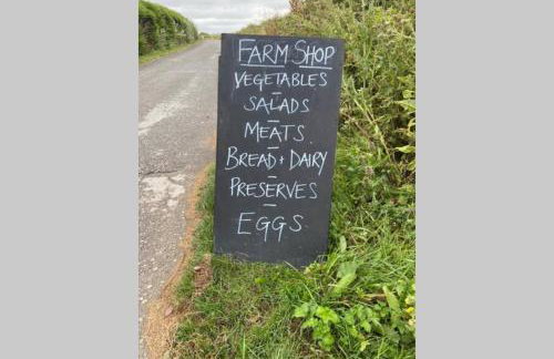 Lowena Lodge - Padstow - Foto 37