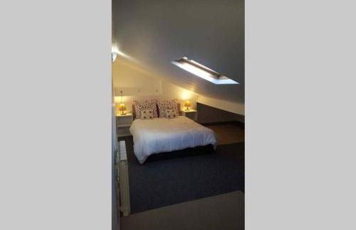 Duplex 1 station tramway aéroport Paris-Orly - Foto 14