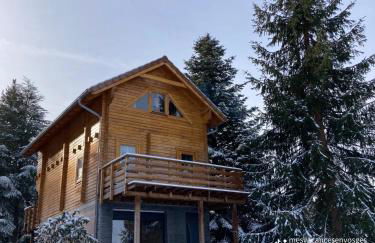 Chalet bois au calme, en lisière de forêt, balcons, sentiers balades Gérardmer & Alsace "Chalet Mon beau sapin" - Foto 2