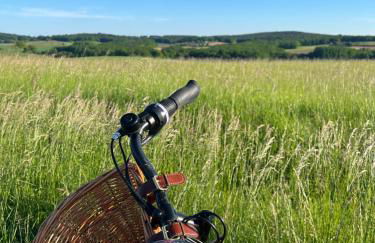 La Colline de Tilleul - De La Colline 4 STAR RATED - Beautiful Cottage Near Aubeterre - Foto 51