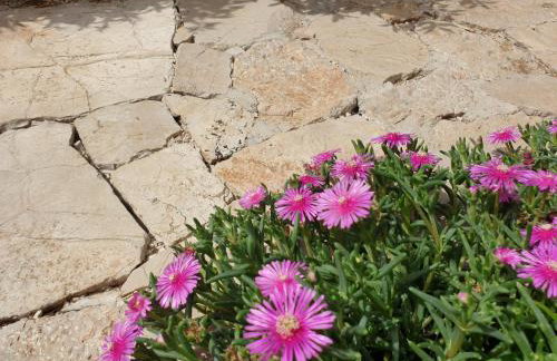 The Heart Of Dalmatia - Foto 43