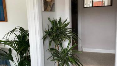 Leeward Lodge - Foto 4