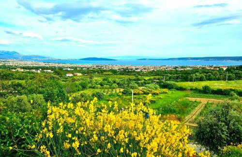 Villa Bepina, surrounded by sea, olive, vineyard - Photo 56