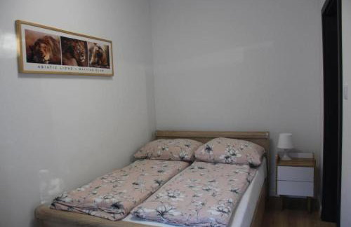 Domki do wynajęcia - Foto 20