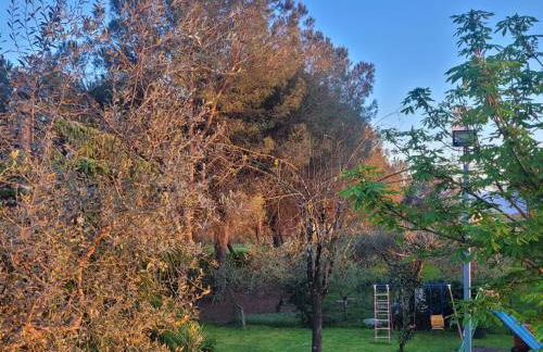 Farfalle in fiore Guesthouse - Foto 25