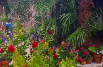 Apartments Villa Arta - Photo 30