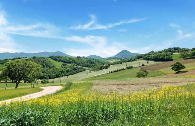 Country Escape in Matelica - Foto 58