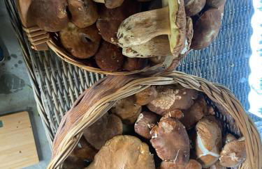 Agriturismo cergallina - Photo 47