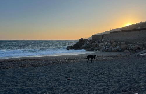 Villa Balcony of La Caleta - Foto 18