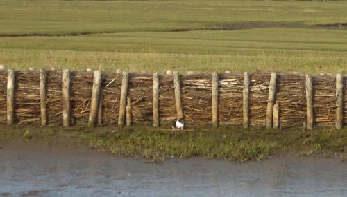 Ferienhaus Pölig - Foto 5