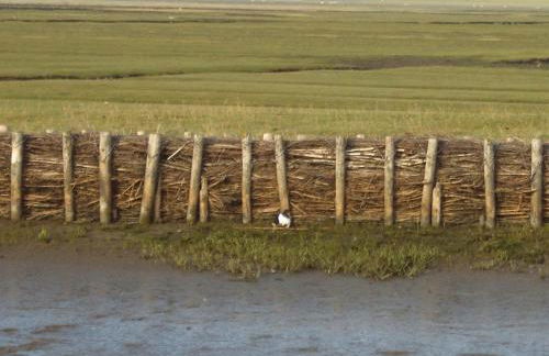 Ferienhaus Pölig - Photo 5