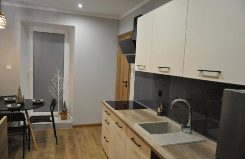 Apartamenty Sudety - Foto 9