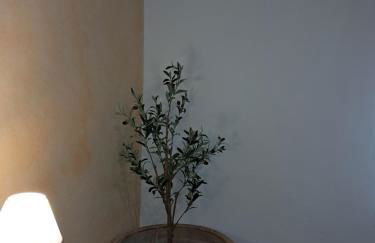 CASA RURAL RUTA DEL AGUA 4 hab al lado Monasterio de Piedra - Photo 7