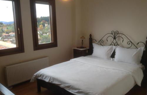 Anthemion - Photo 64