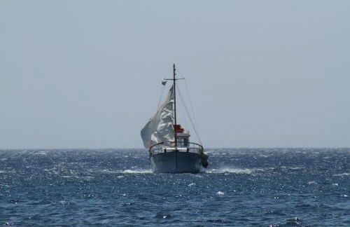 Nikos Hotel - Foto 50