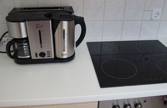 W & S Executive Apartments - Obertraun - Foto 26