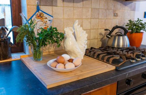 Agroturystyka Świętego Józefa - Foto 29