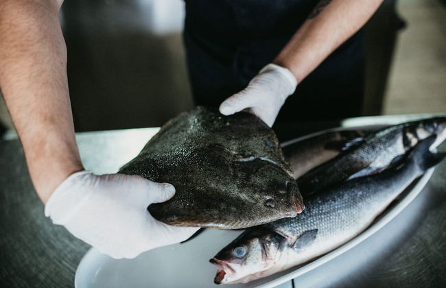 Poseidon Mobile Home Resort - Campsite - Foto 42