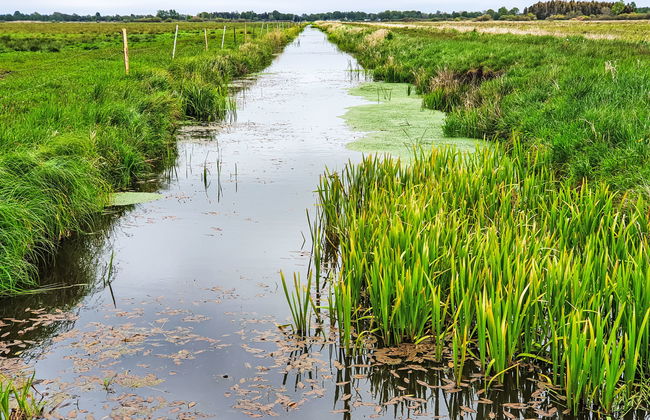 Casa de 2 quartos em Smołdzino com jardim e terraço - Foto 50