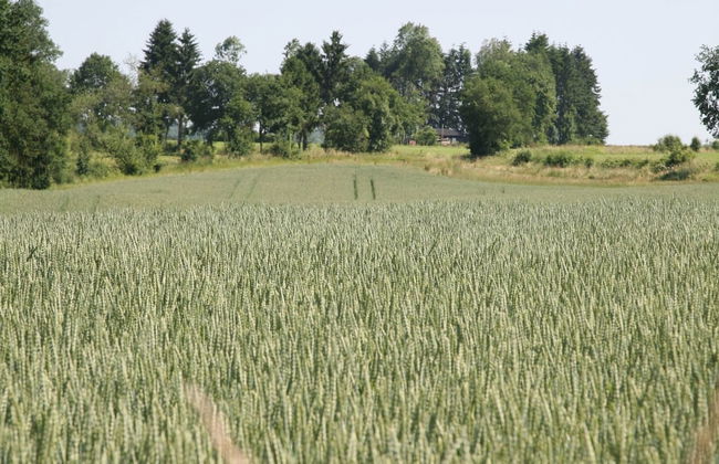 Countryside Chalet in Bomal sur Ourthe With Sauna, Balcony - Photo 34