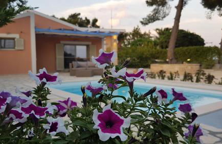 Ponderosa Kefalonia - Photo 53