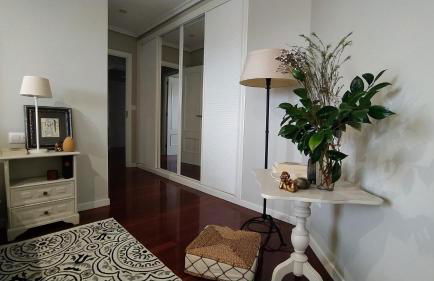 APARTAMENTO VISTAZUL SAMIL - Foto 38