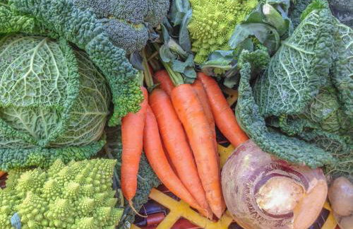 Yr Hen Gof - Foto 18