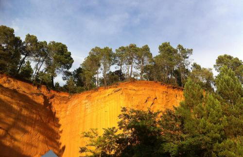 Cabane bambou - Photo 23