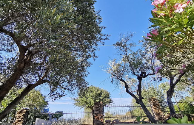 Welcomely - La Casa Di Rita - Lu Nibbaru - Photo 30