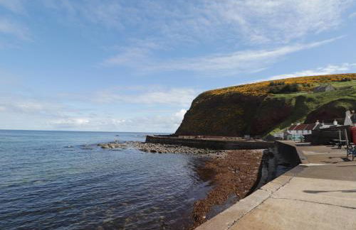 The Laurels - Foto 29