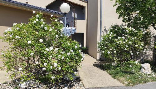 Appart'hotel Residella House Room & Kitchen Avignon Le Pontet - Foto 3