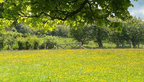 Beehive Cottage - Photo 3